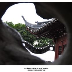 dailyPhoto7